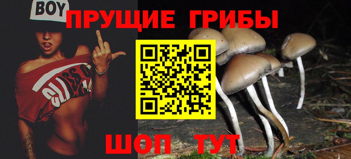 Приморско-Ахтарск  Галлюциногенные грибы GOLDEN TEACHER  Вход с VPN 