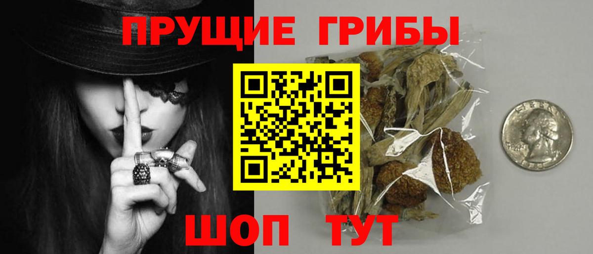 Псилоцибиновые грибы ЛСД Приморско-Ахтарск