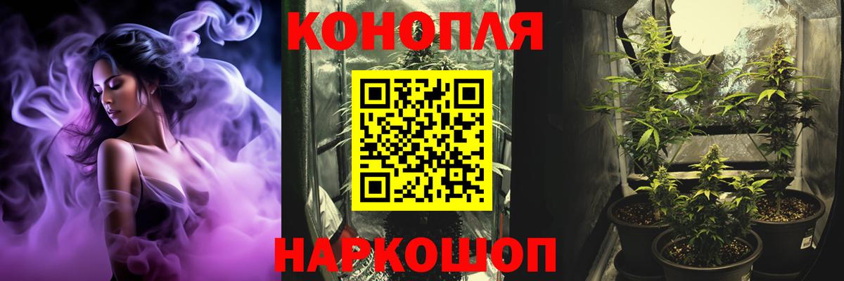 Бошки марихуана планчик Приморско-Ахтарск
